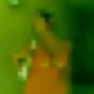 Jihane de Villars-les-Dombes, 32 ans - rencontre sexe discret