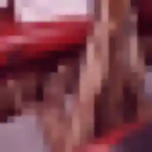 rencontre sexe à Villefranche-sur-Mer : profil de Agathe, 23 ans - sans engagement